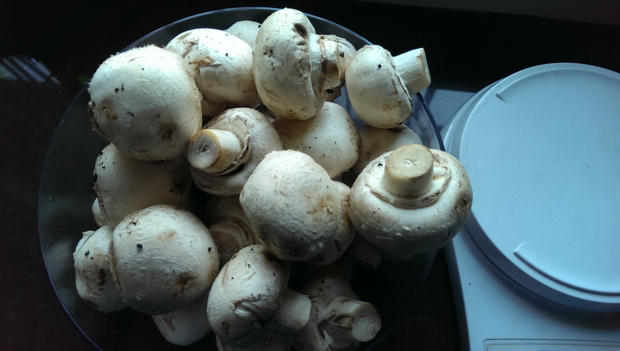 Weekend Cooking: Sautéed Mushrooms