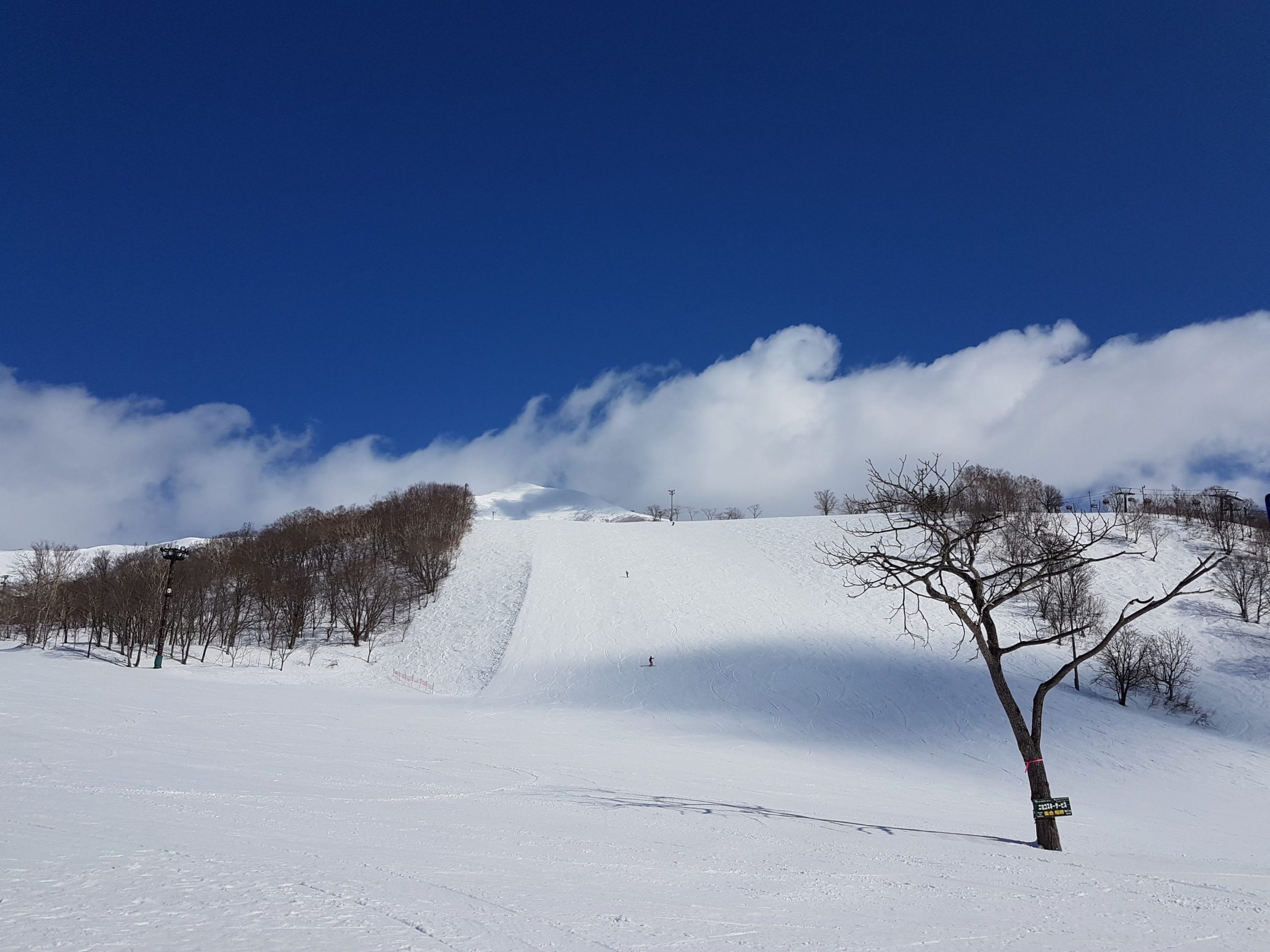 Travel Time: Niseko March 2017