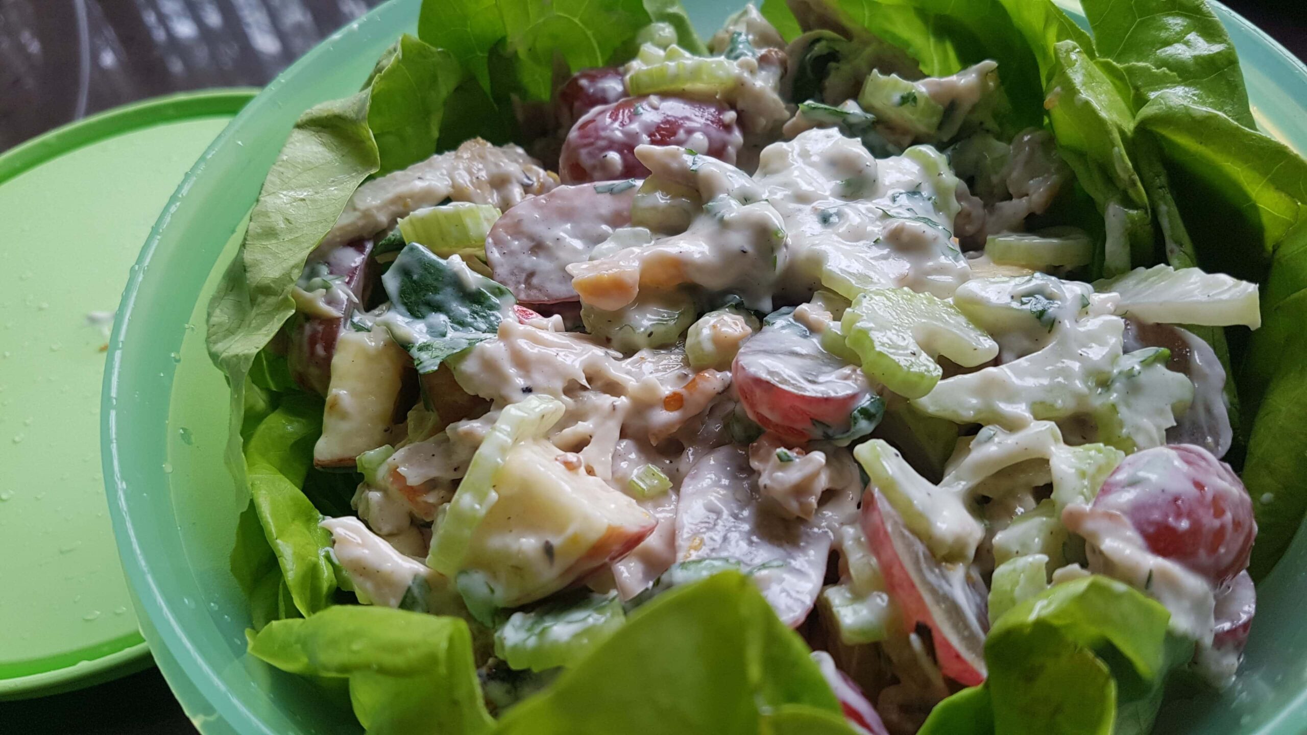 GobbleFest 2017 Leftovers: Turkey Waldorf Salad