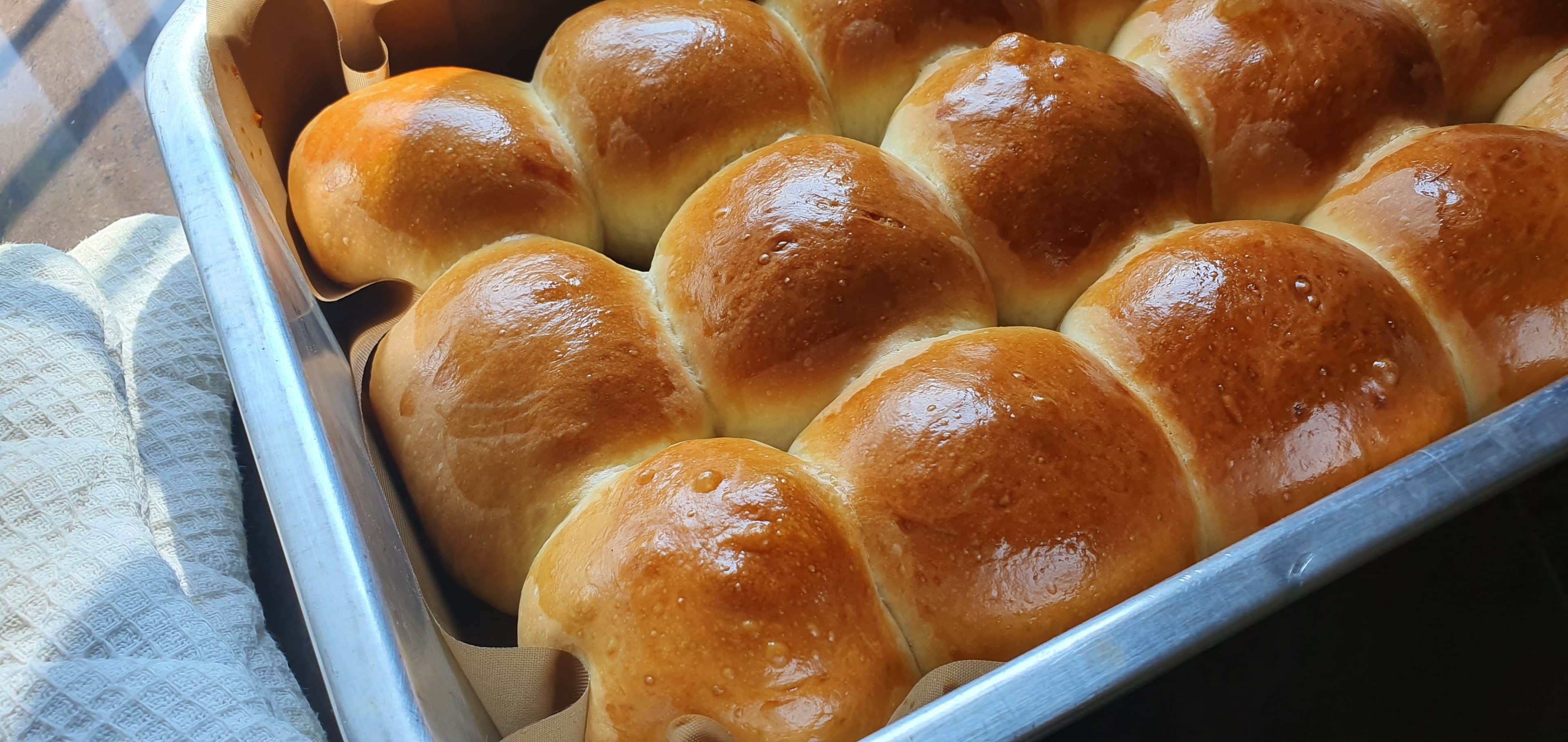 Easy Dinner Rolls