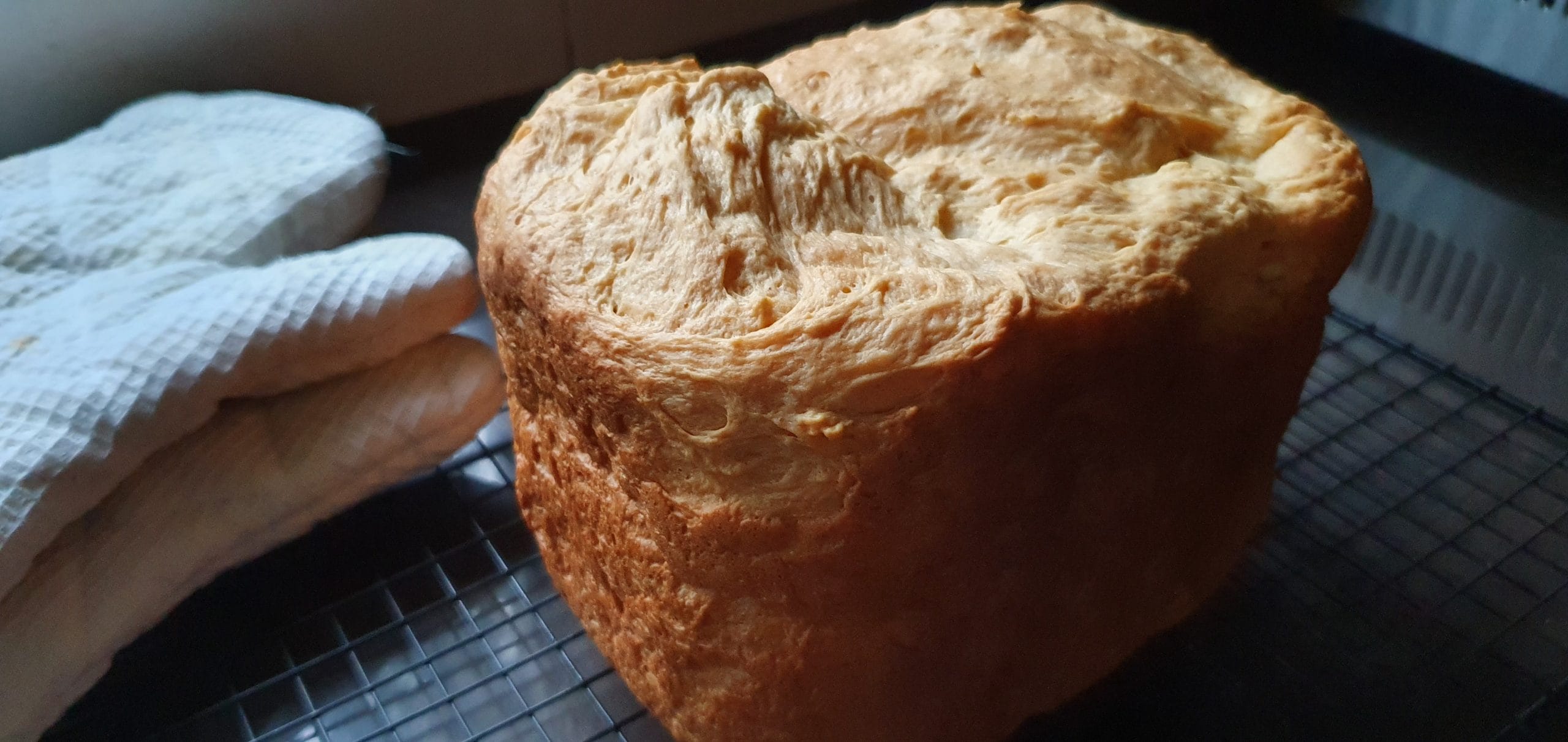 Breadmaker Hokkaido Milk Loaf