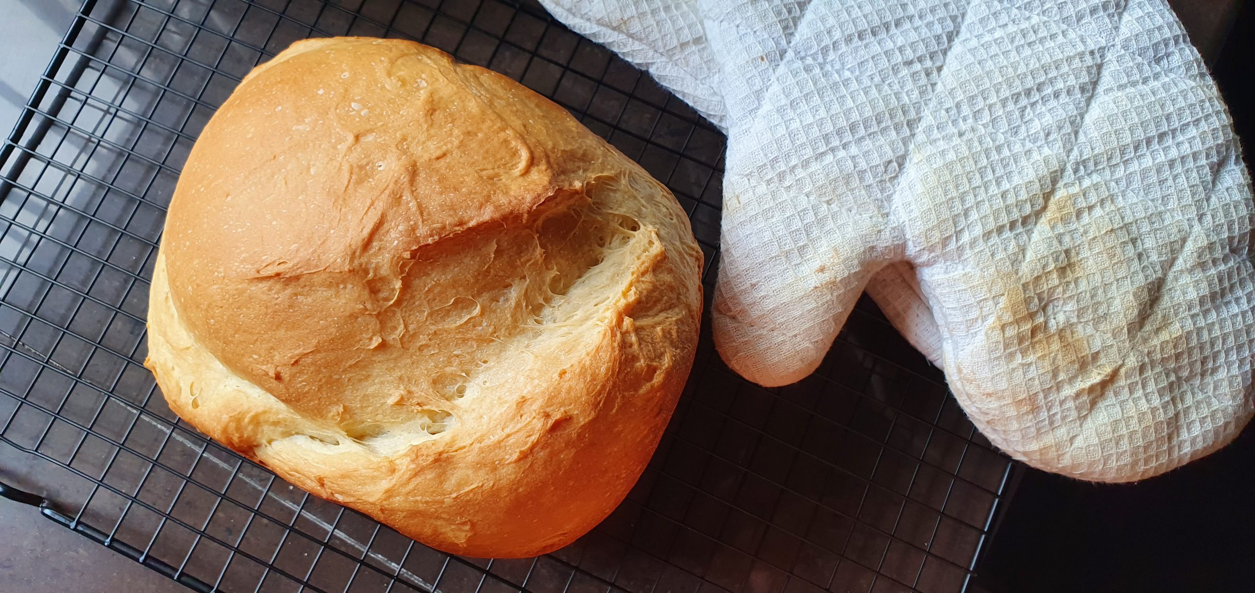 Breadmaker Wu Pao Chun Champion Toast Bread